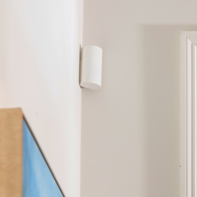 Mesa security motion sensor