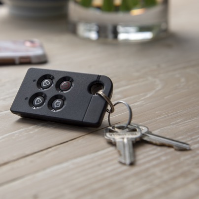 Mesa security key fob