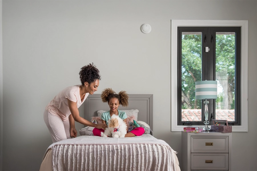 smoke & carbon detector Mesa